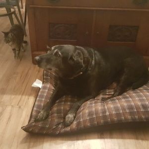 Meet your Posher, Linda